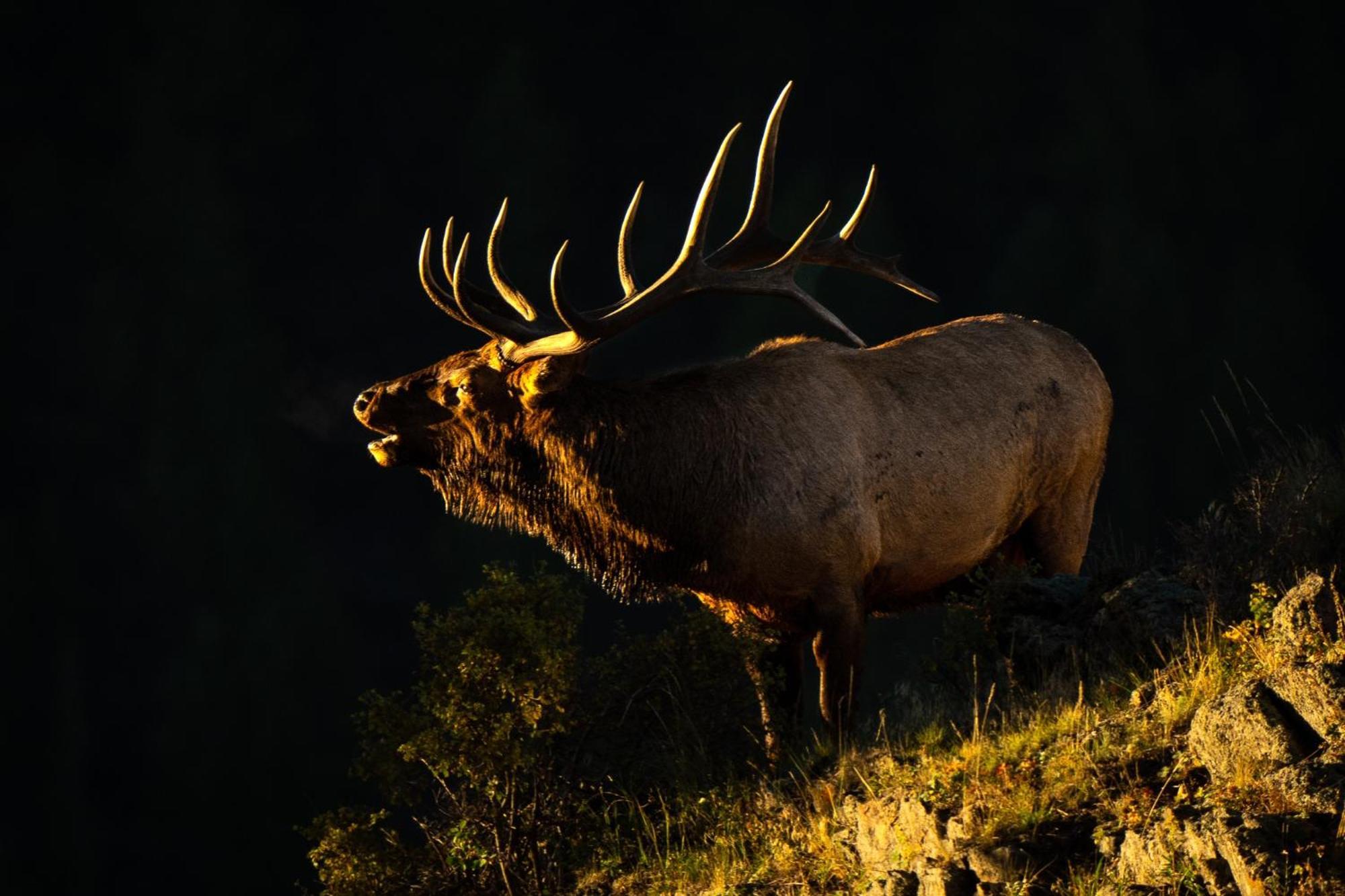 Frontier Mountain Retreat - Monthly Long-Term Vacation Rental 30 Days Minimum -- Estes Park Apts Zewnętrze zdjęcie