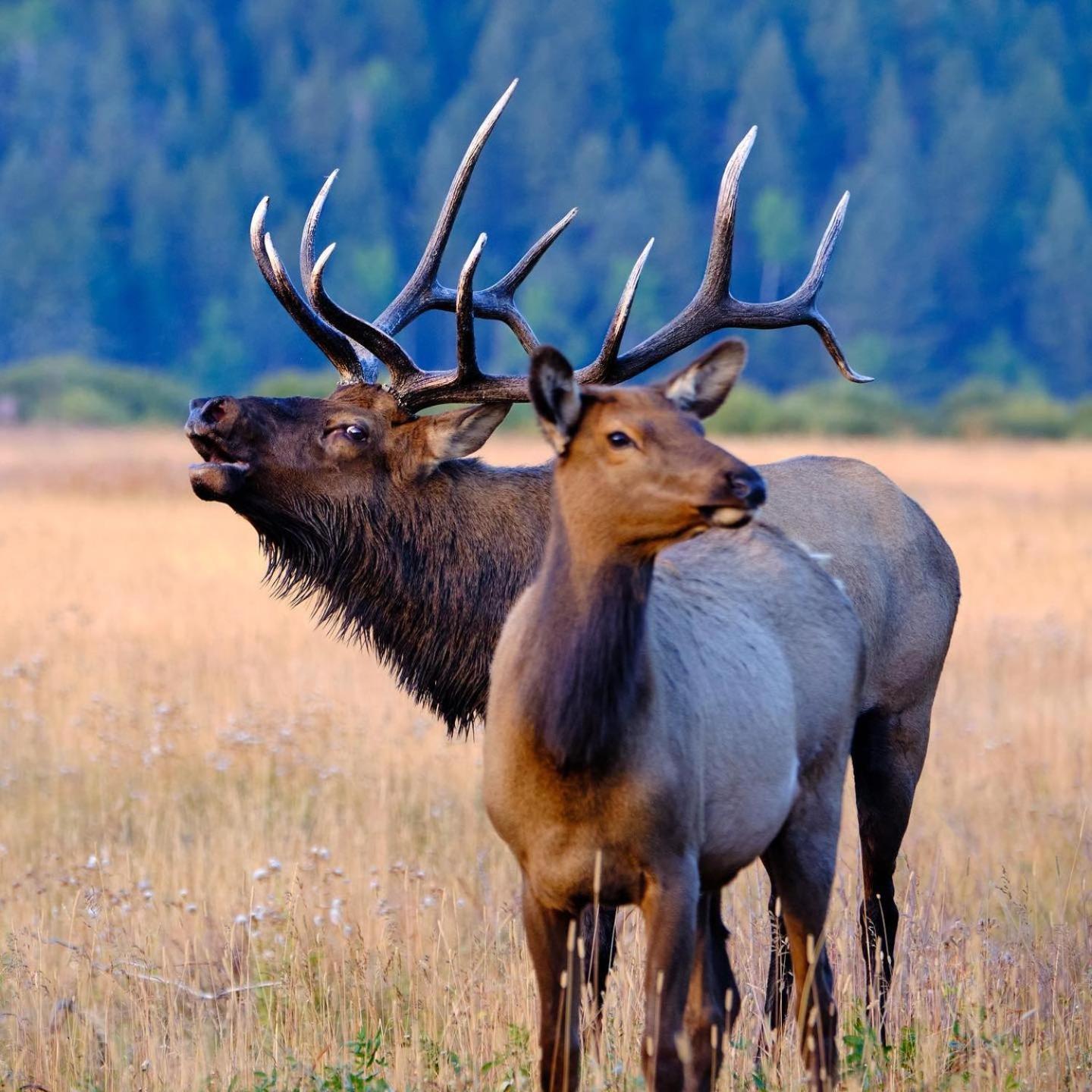 Frontier Mountain Retreat - Monthly Long-Term Vacation Rental 30 Days Minimum -- Estes Park Apts Zewnętrze zdjęcie